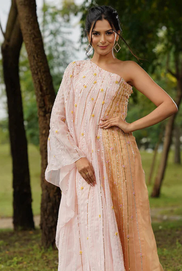 Nena Off Shoulder Indo Western Gown